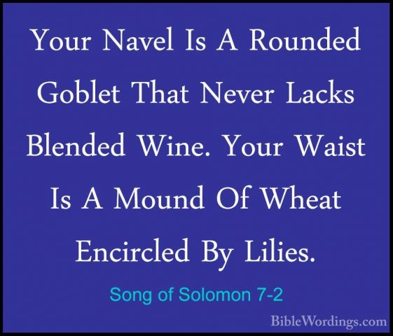 Song of Solomon 7-2 - Your Navel Is A Rounded Goblet That Never LYour Navel Is A Rounded Goblet That Never Lacks Blended Wine. Your Waist Is A Mound Of Wheat Encircled By Lilies. 