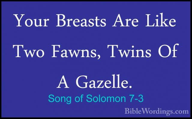 Song of Solomon 7-3 - Your Breasts Are Like Two Fawns, Twins Of AYour Breasts Are Like Two Fawns, Twins Of A Gazelle. 