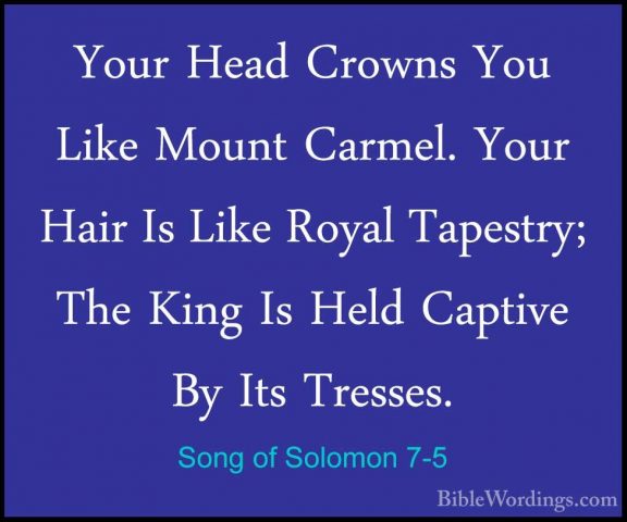 Song of Solomon 7-5 - Your Head Crowns You Like Mount Carmel. YouYour Head Crowns You Like Mount Carmel. Your Hair Is Like Royal Tapestry; The King Is Held Captive By Its Tresses. 