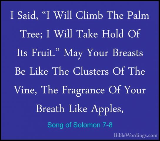 Song of Solomon 7-8 - I Said, "I Will Climb The Palm Tree; I WillI Said, "I Will Climb The Palm Tree; I Will Take Hold Of Its Fruit." May Your Breasts Be Like The Clusters Of The Vine, The Fragrance Of Your Breath Like Apples, 