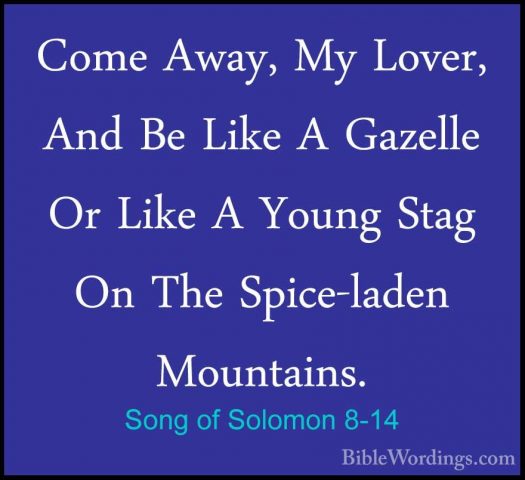 Song of Solomon 8-14 - Come Away, My Lover, And Be Like A GazelleCome Away, My Lover, And Be Like A Gazelle Or Like A Young Stag On The Spice-laden Mountains.