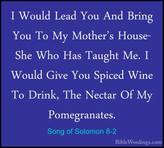 Song of Solomon 8-2 - I Would Lead You And Bring You To My MotherI Would Lead You And Bring You To My Mother's House- She Who Has Taught Me. I Would Give You Spiced Wine To Drink, The Nectar Of My Pomegranates. 