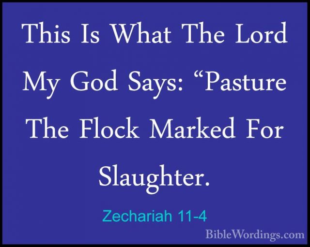 Zechariah 11 - Holy Bible English - BibleWordings.com