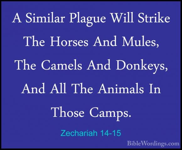 Zechariah 14-15 - A Similar Plague Will Strike The Horses And MulA Similar Plague Will Strike The Horses And Mules, The Camels And Donkeys, And All The Animals In Those Camps. 