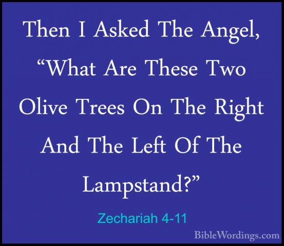 Zechariah 4-11 - Then I Asked The Angel, "What Are These Two OlivThen I Asked The Angel, "What Are These Two Olive Trees On The Right And The Left Of The Lampstand?" 