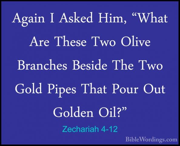 Zechariah 4-12 - Again I Asked Him, "What Are These Two Olive BraAgain I Asked Him, "What Are These Two Olive Branches Beside The Two Gold Pipes That Pour Out Golden Oil?" 