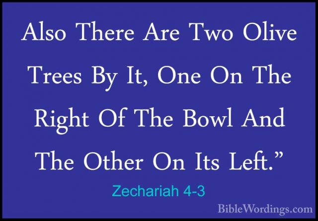 Zechariah 4-3 - Also There Are Two Olive Trees By It, One On TheAlso There Are Two Olive Trees By It, One On The Right Of The Bowl And The Other On Its Left." 
