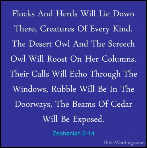 Zephaniah 2-14 - Flocks And Herds Will Lie Down There, CreaturesFlocks And Herds Will Lie Down There, Creatures Of Every Kind. The Desert Owl And The Screech Owl Will Roost On Her Columns. Their Calls Will Echo Through The Windows, Rubble Will Be In The Doorways, The Beams Of Cedar Will Be Exposed. 